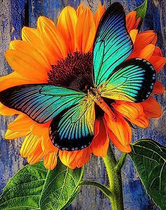 AB Diamond Painting Kit | Butterfly Flower