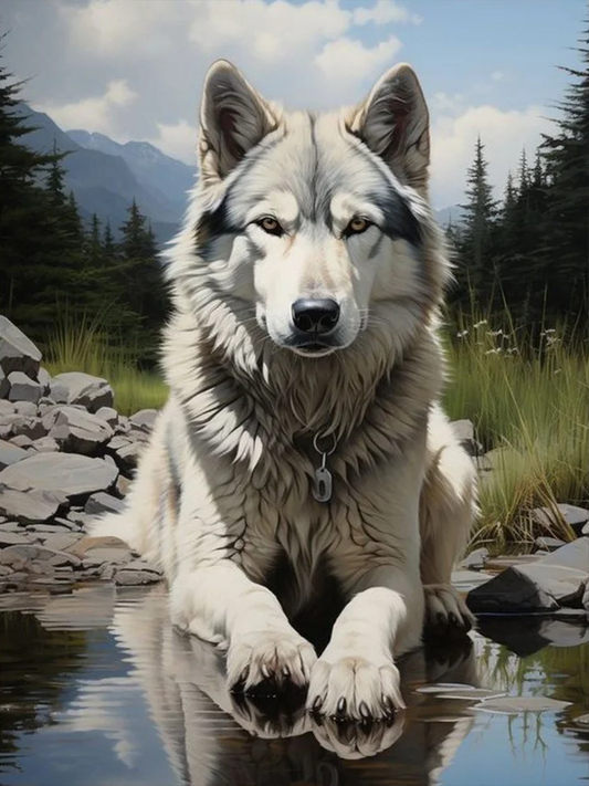 AB Diamond Painting  |  Wolf